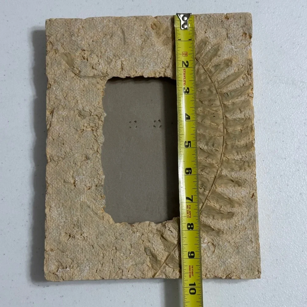 Fancy Frames FF-87246 Fern on Paper Resin Stone Photo Frame Rustic Vintage 3.5x5